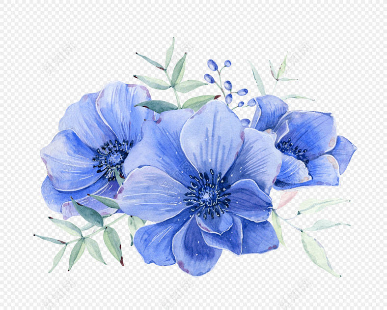 彩绘花朵花叶素材