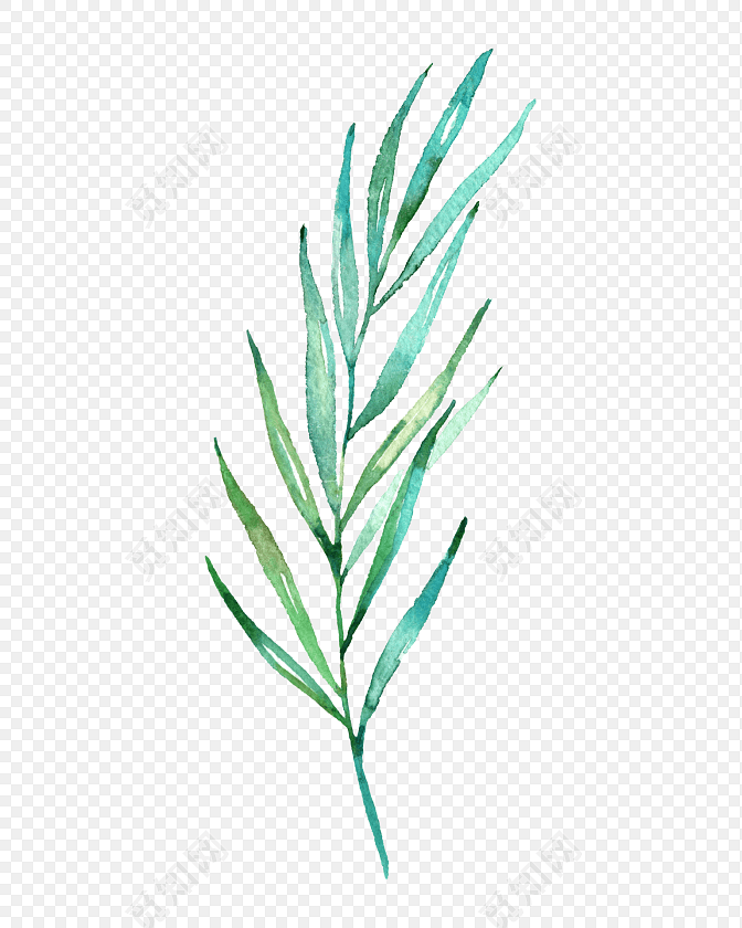 绿色清新植物叶子水彩插画素材