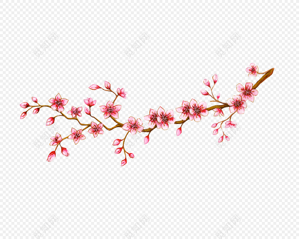 红色手绘梅花树枝水彩插画