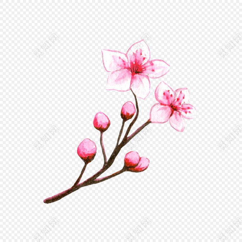 彩色手绘桃花水彩插画素材