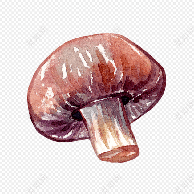 彩色水彩香菇免抠素材