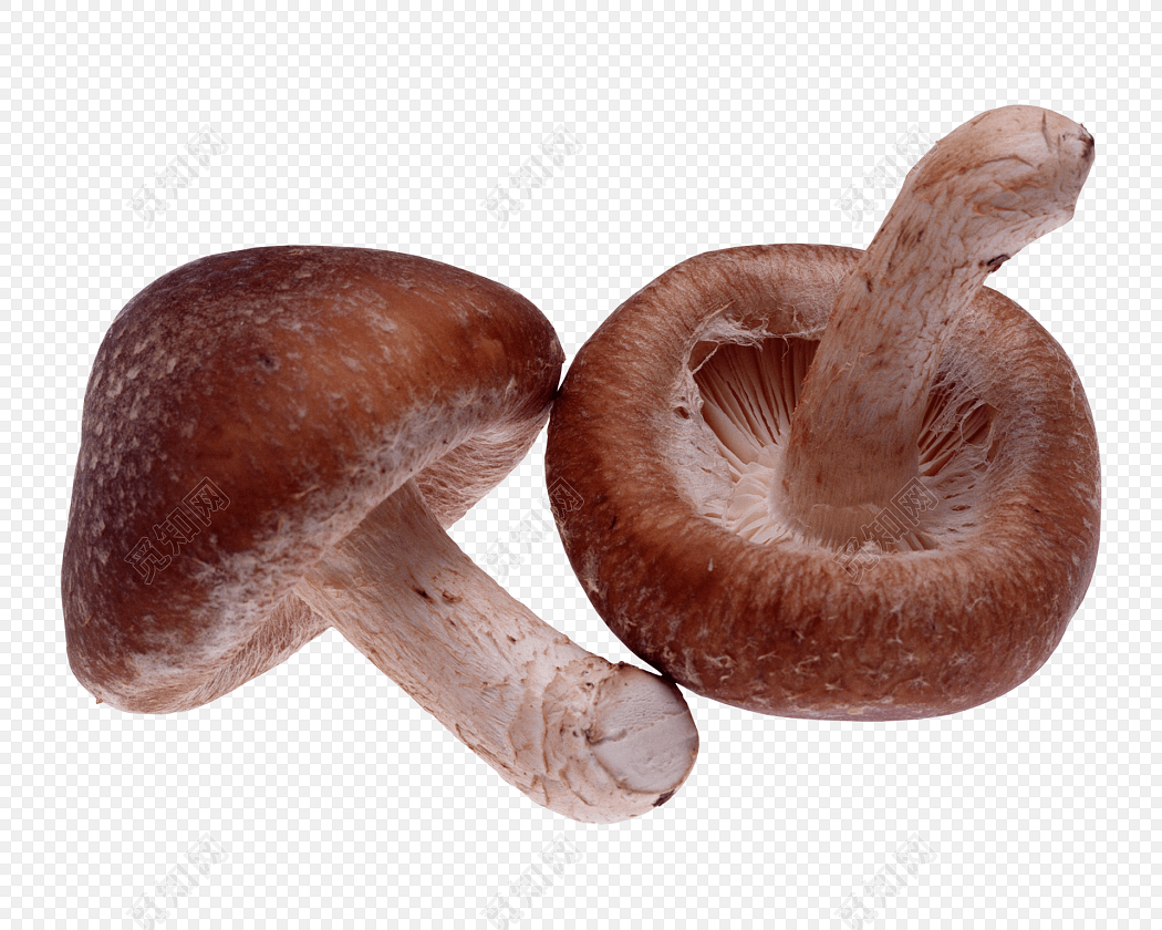 ĢͼƬ