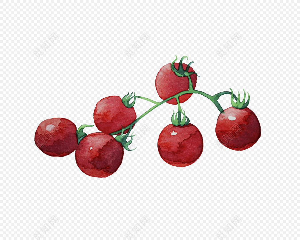 ʥŮˮʻ