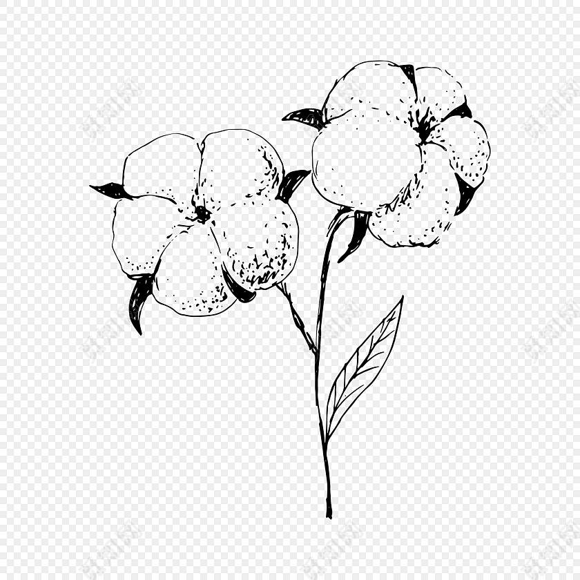 手绘卡通装饰花瓣棉花花草装饰海报设计