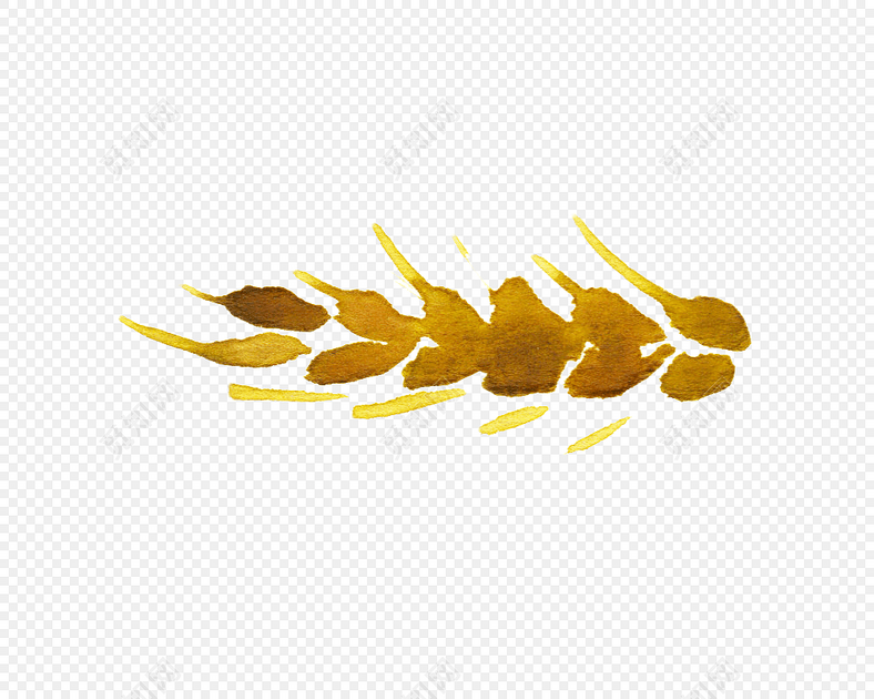 水彩手绘植物麦穗素材