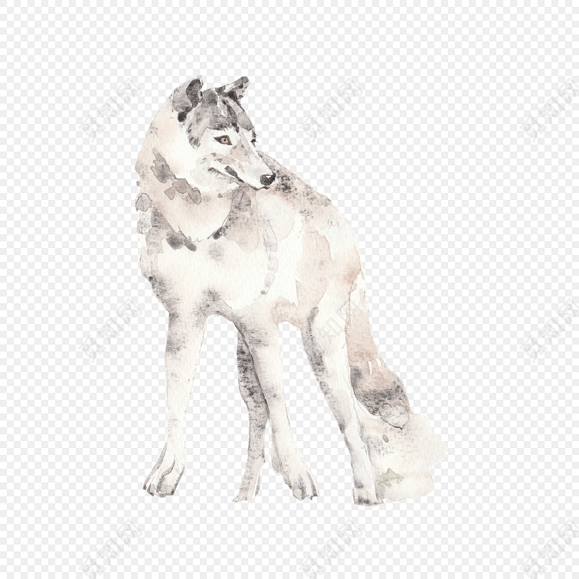 白色水彩狼免抠素材