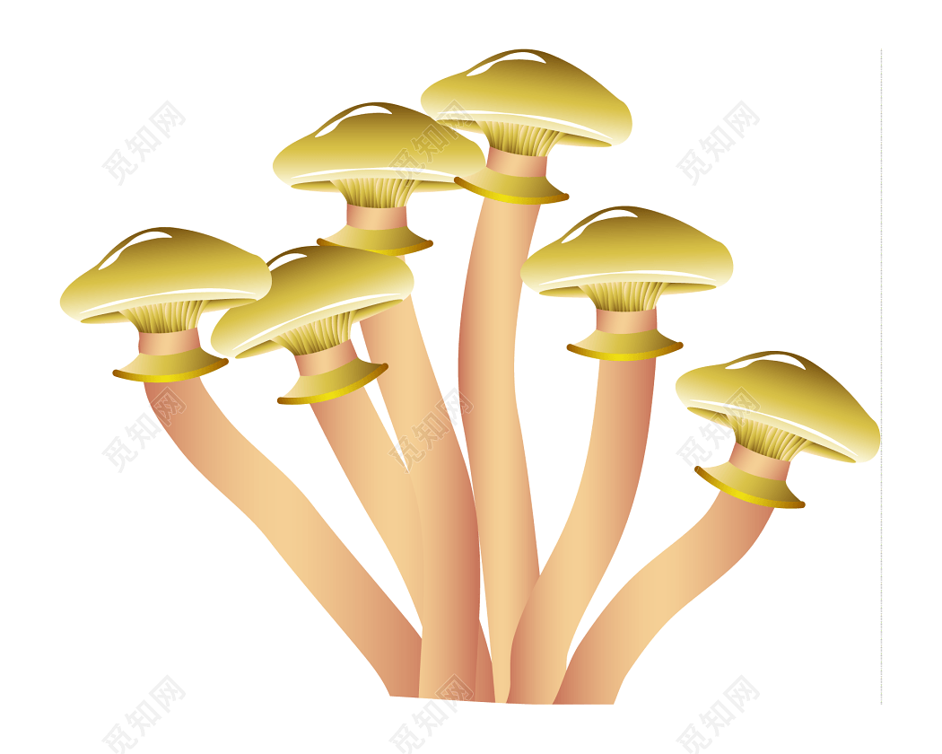 金色蘑菇群素材