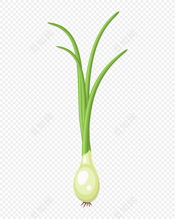 蔬菜大蒜矢量元素