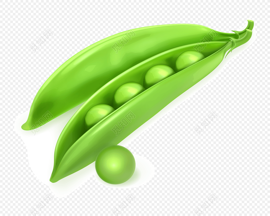 绿色四季豆矢量元素