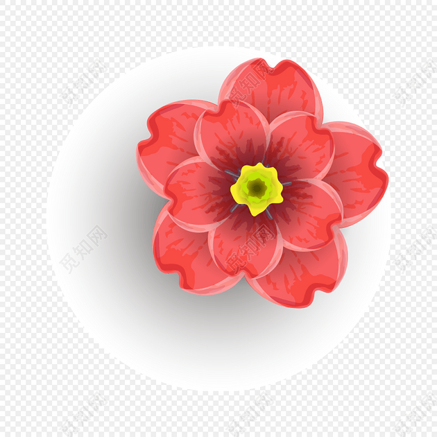 小红花 彩绘 手绘