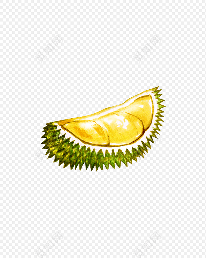 手绘榴莲