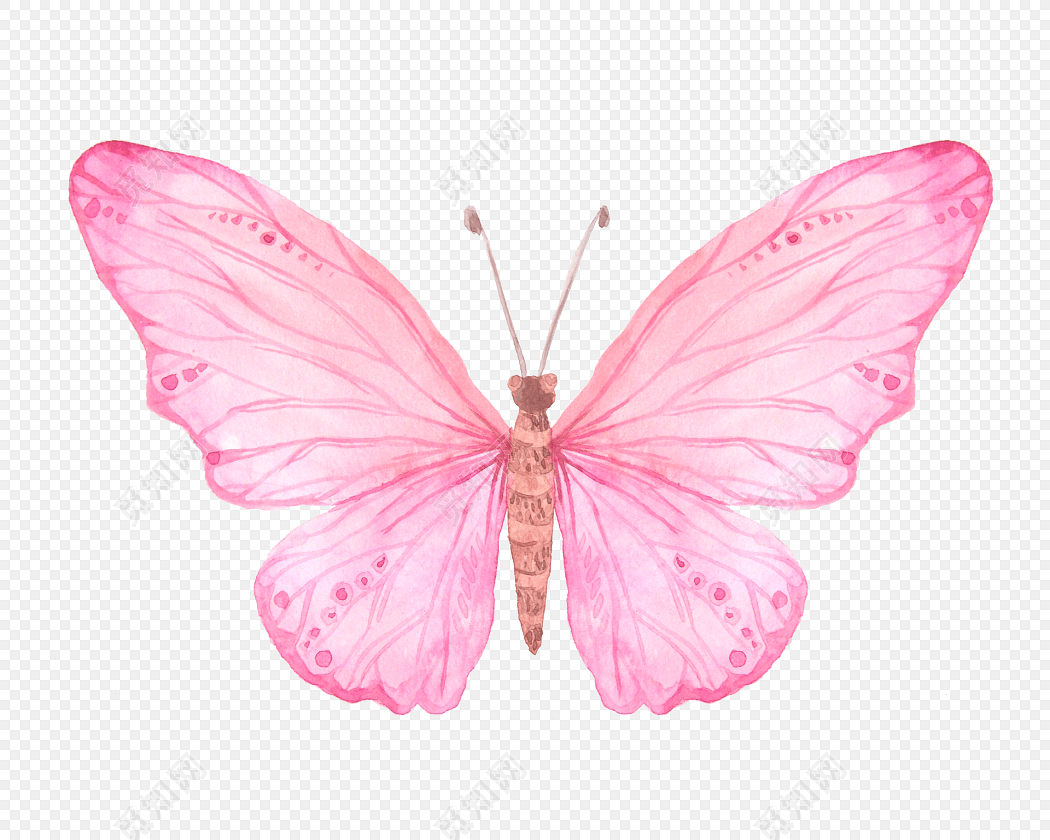 清新动物粉色蝴蝶矢量元素
