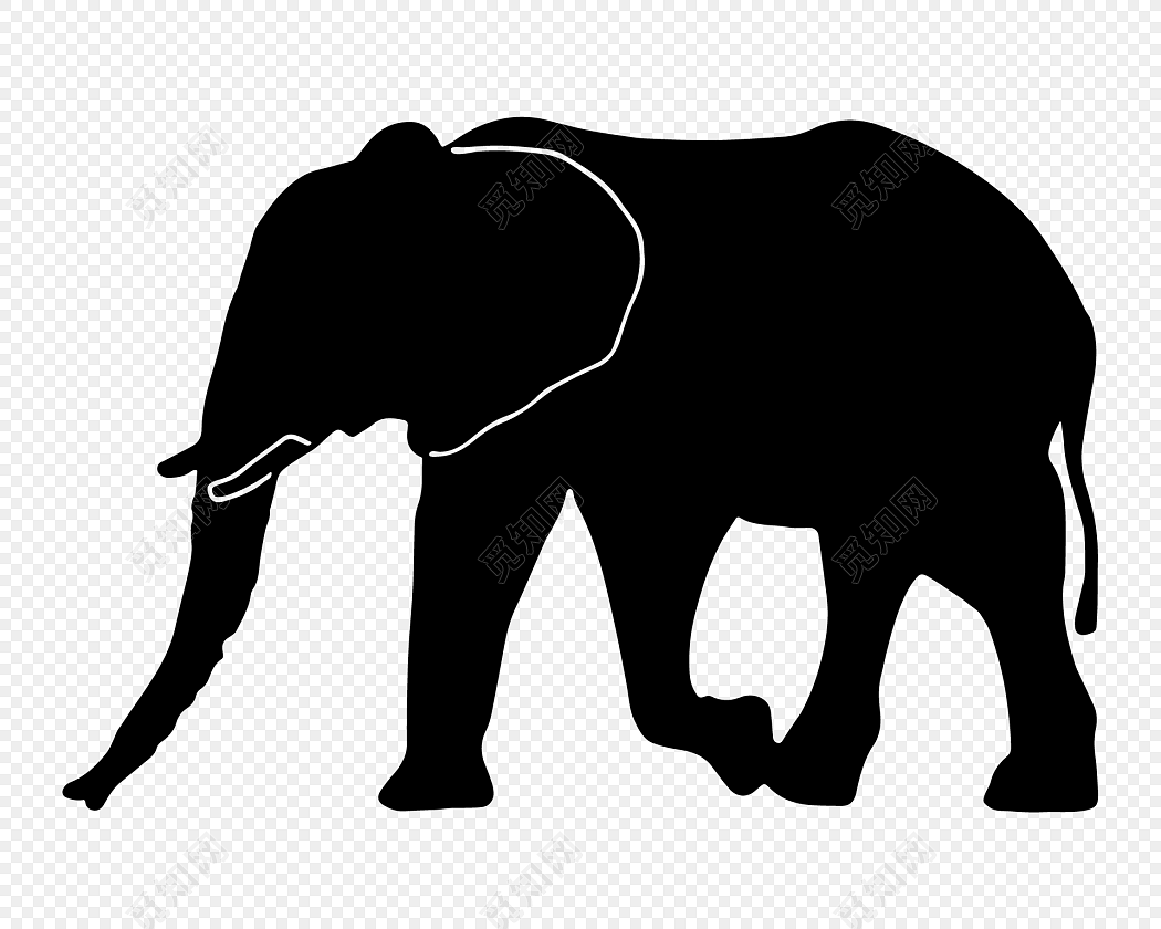 大象为什么会画画？ - 知乎