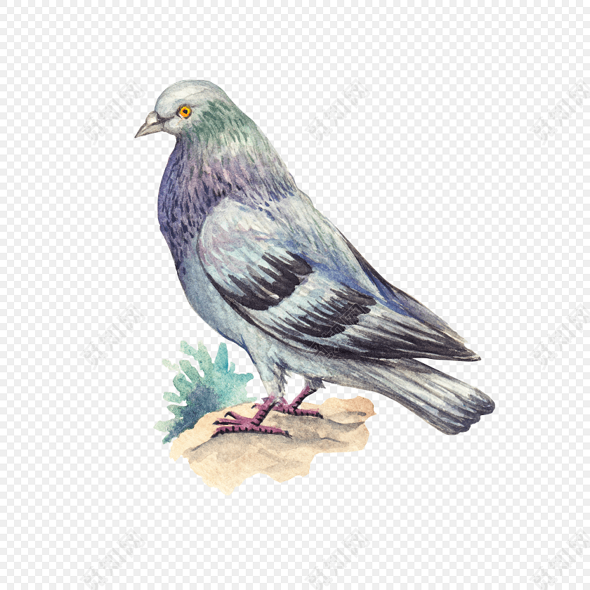 彩色手绘小鸟素材