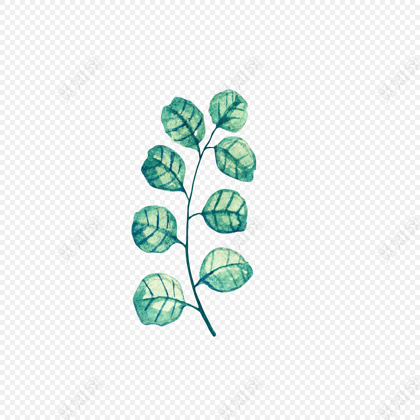 水彩叶子植物素材