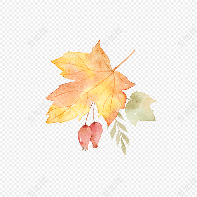 彩色清新枫叶手绘水彩矢量树叶插画