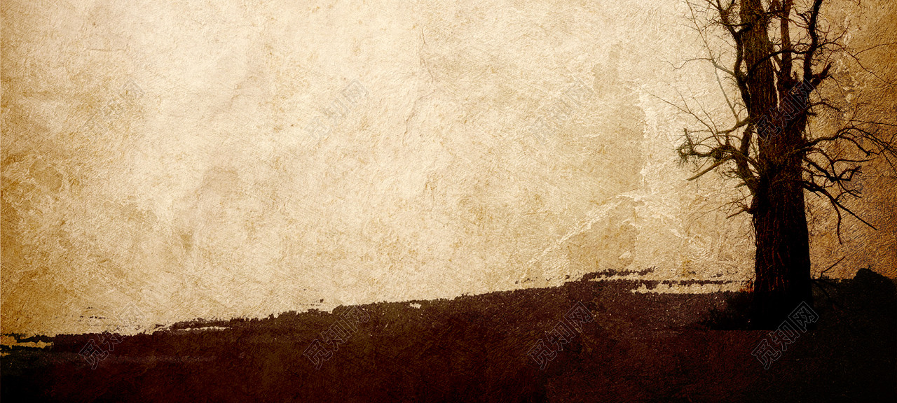 ţƤֽbanner_ز_֪