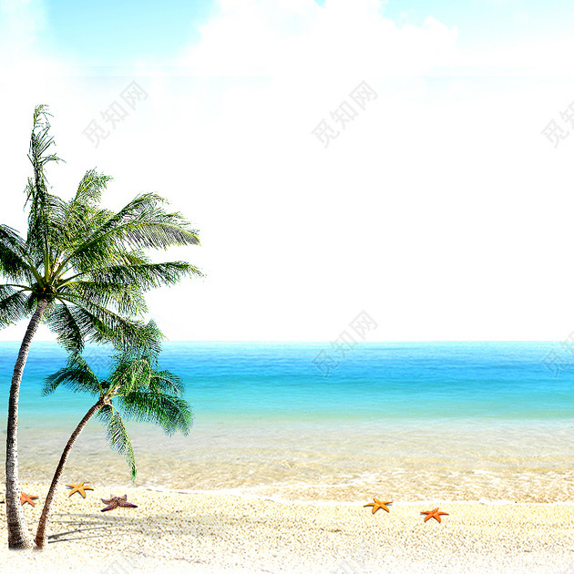 海滩风景背景