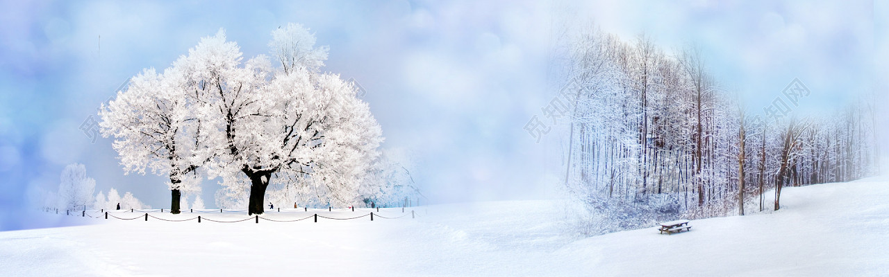 简约唯美冬季雪地寒冷树木落雪背景图
