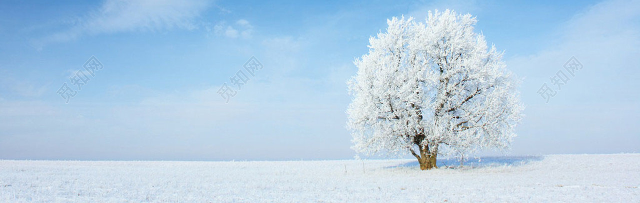 唯美冬季雪地寒冷树木落雪背景图