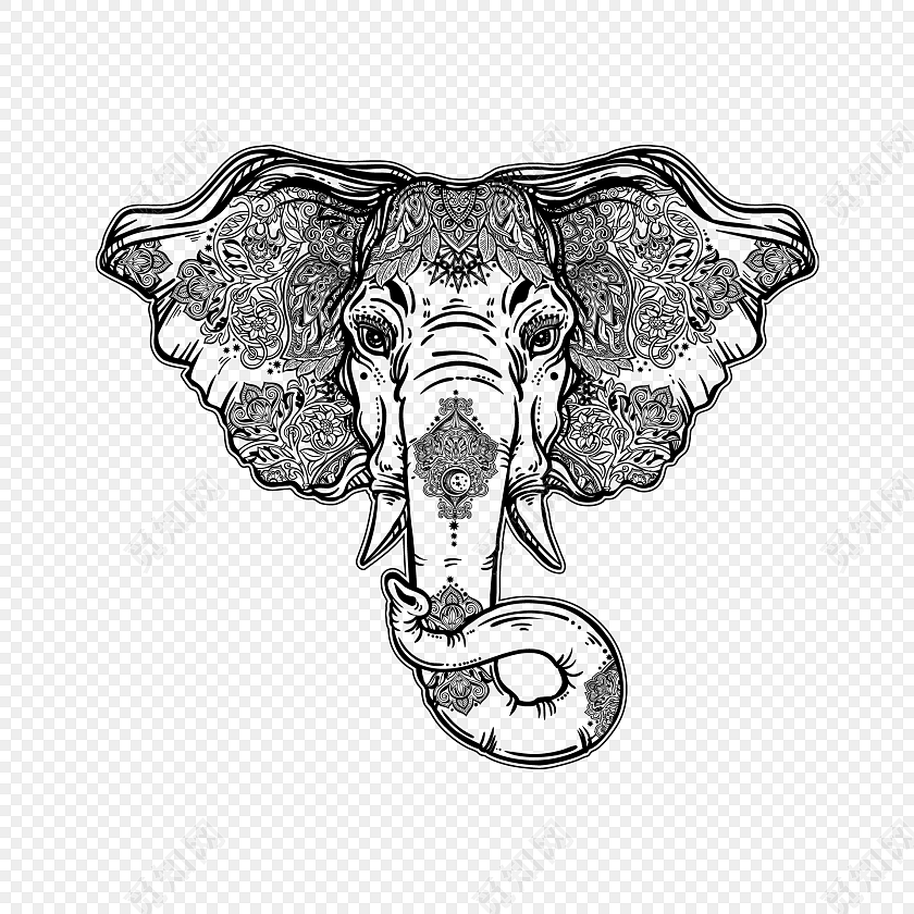 大象素描手绘素材