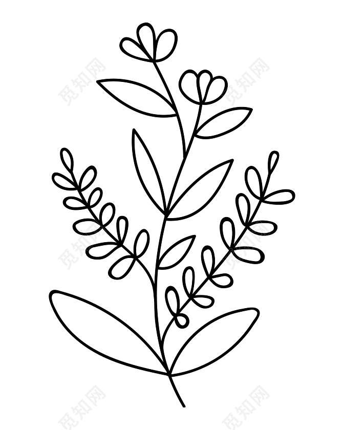 简笔画植物