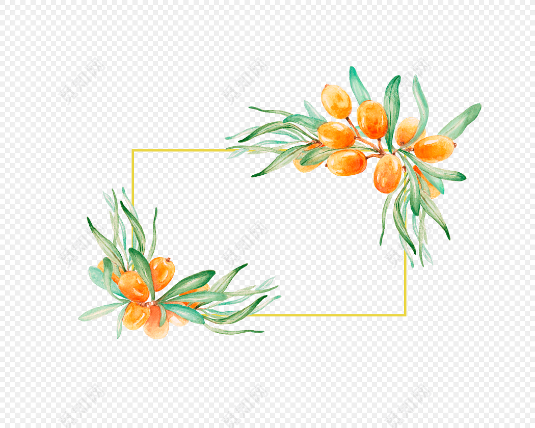 手绘花草植物免抠素材