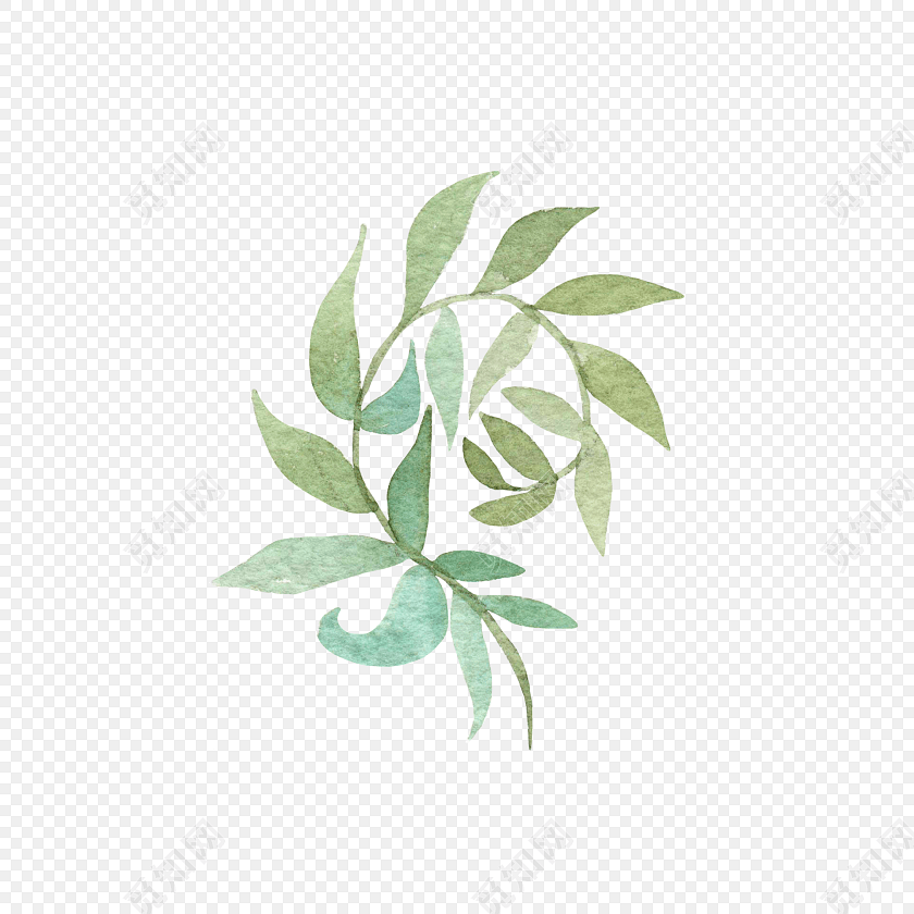 绿色植物树叶手绘素材