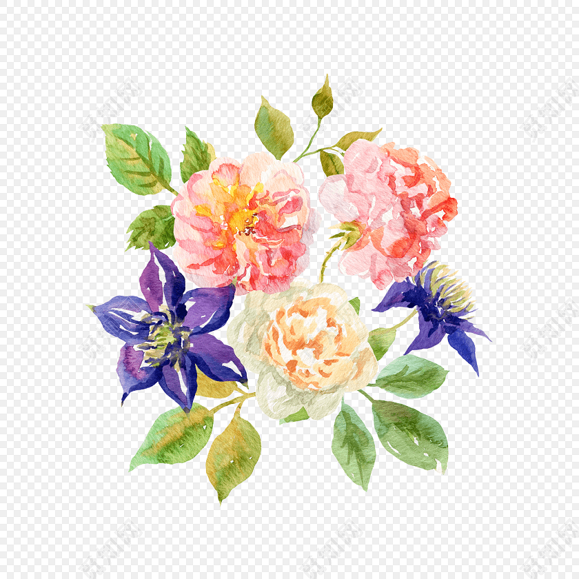 唯美彩绘鲜花插画