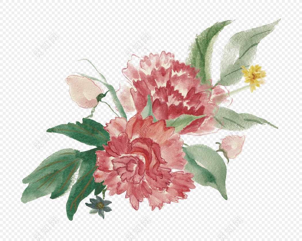 中国风美丽花草插画素材