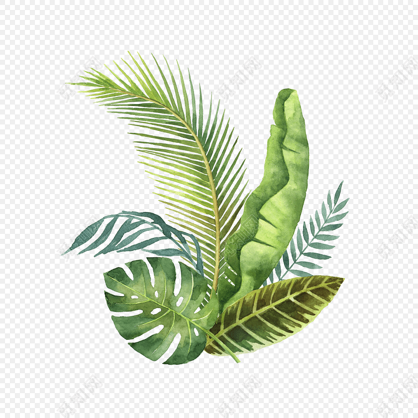 清新水彩绿色植物插画素材图
