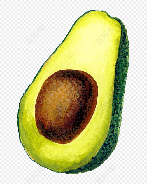 绿色手绘牛油果彩铅插画