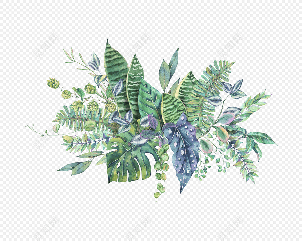绿色清新植物手绘水彩插画