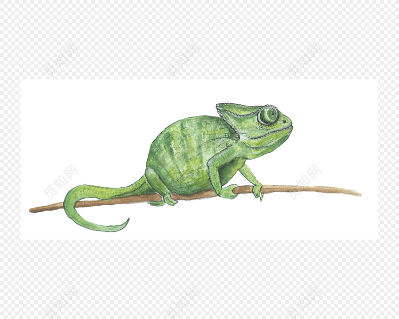 卡通手绘彩色变色龙插图