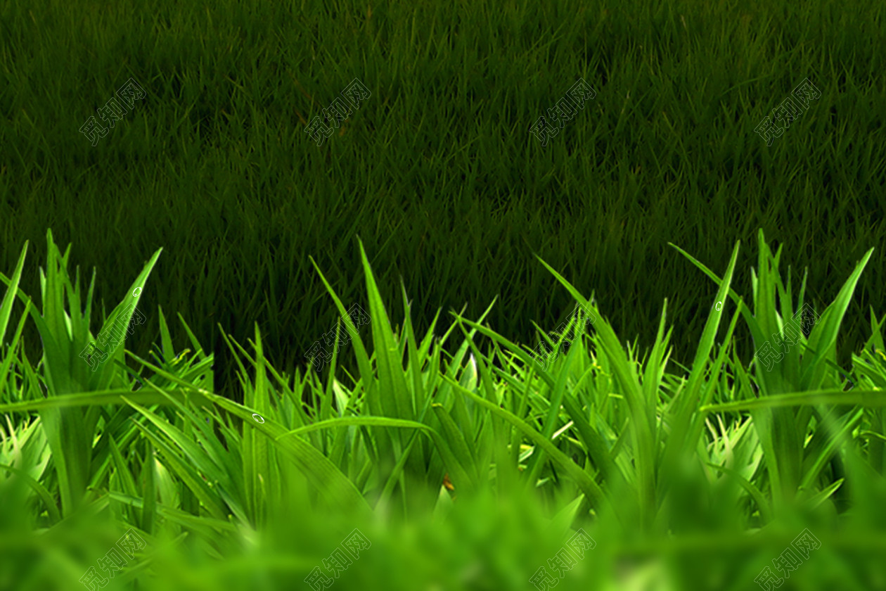 文艺草地绿色背景
