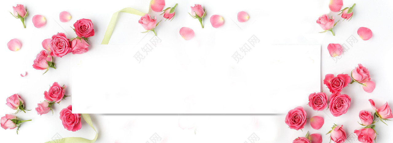 七夕情人节粉色玫瑰花背景banner免费下载_背景素材