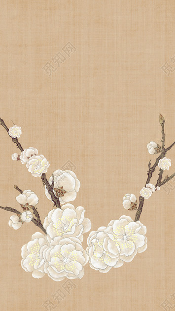 中国风白花工笔画h5背景素材