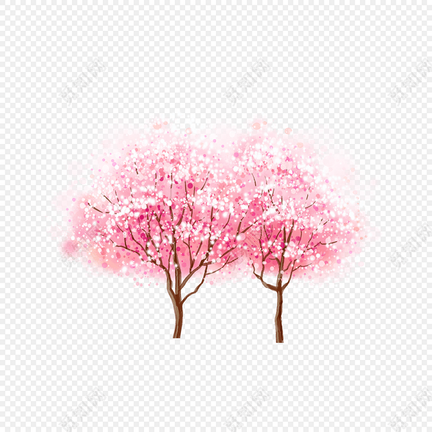 樱花树 幸福树