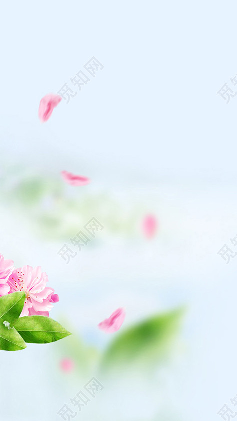 473_840 竖版 竖屏