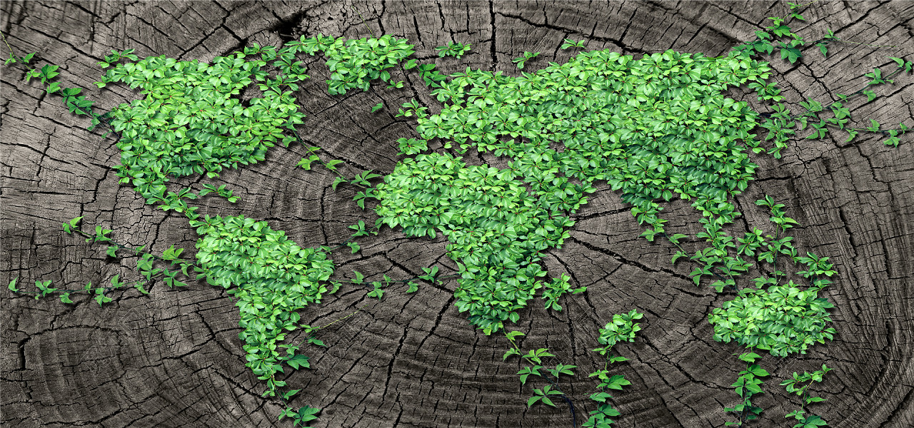 创意绿色世界地图环保海报
