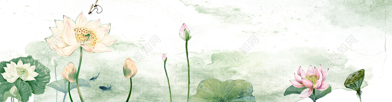 ŷϺbanner
