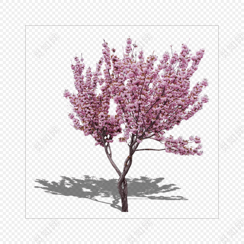 桃花树免费下载_png素材_觅知网