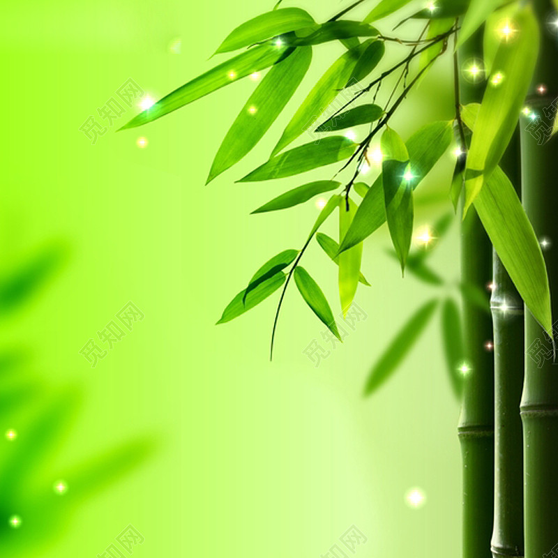 绿色竹子光效背景图
