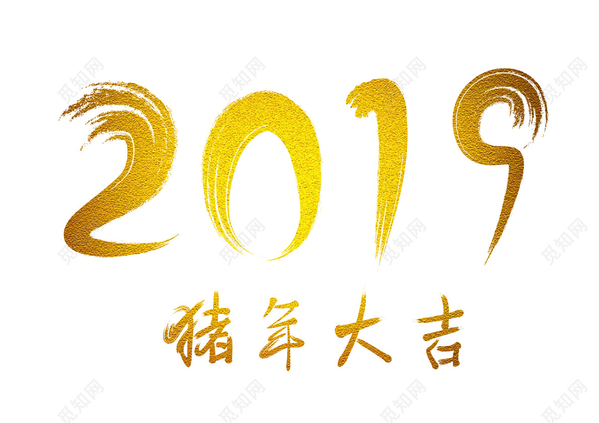 2019̽ë괺_