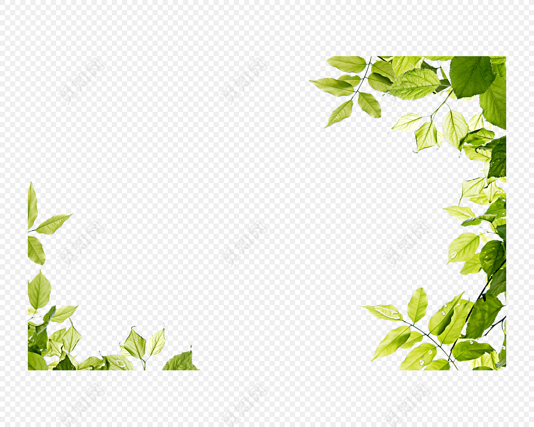 绿色树叶封面素材