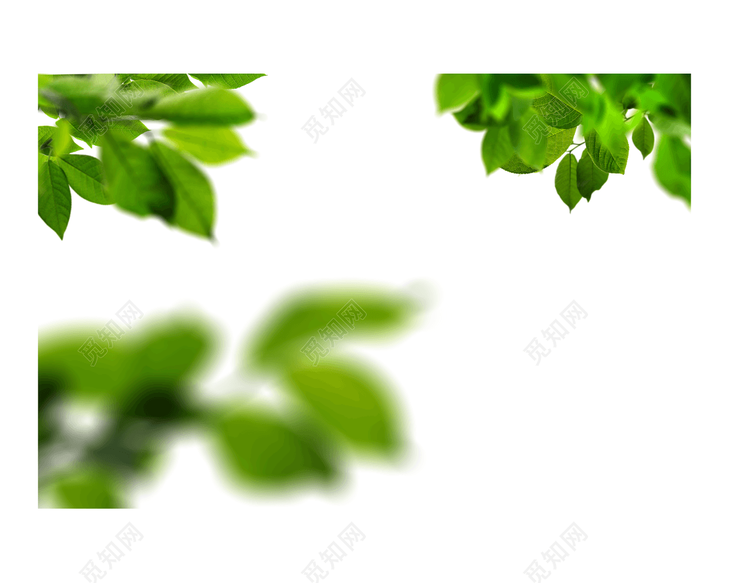 绿色植物封面素材下载