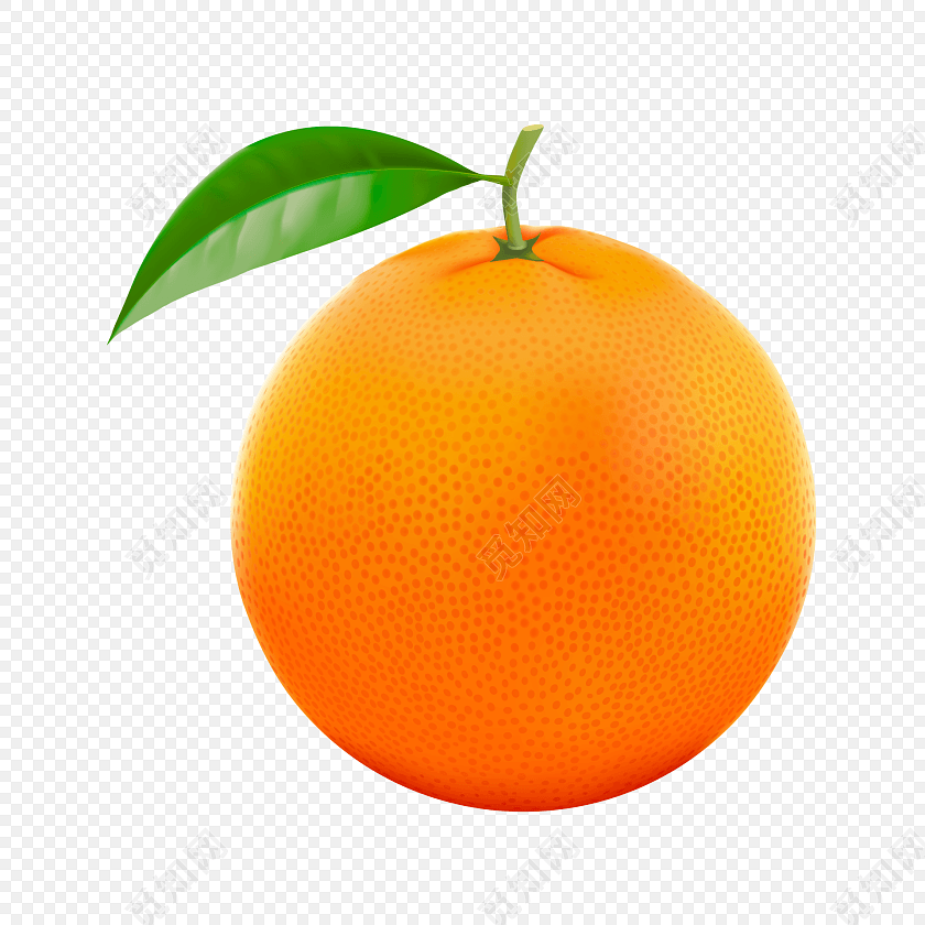 ɫԼʸز