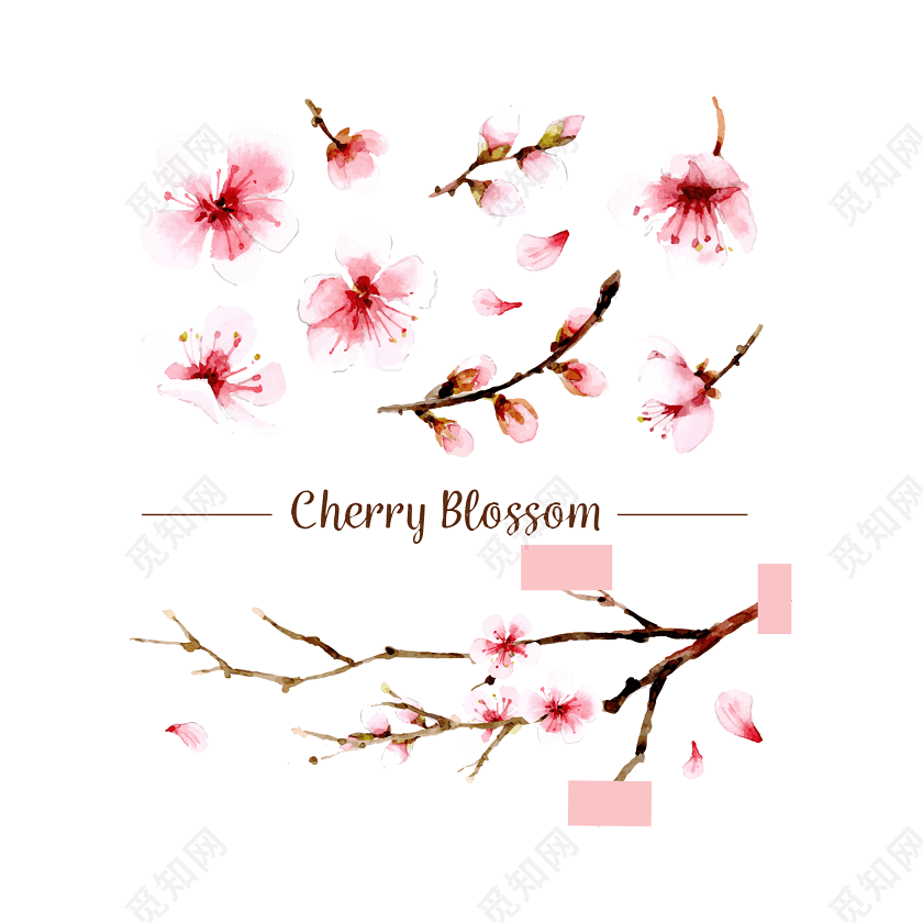 矢量手绘樱花