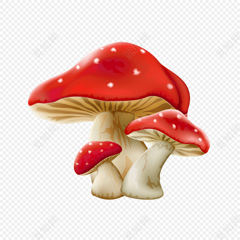 卡通手绘蘑菇植物素材