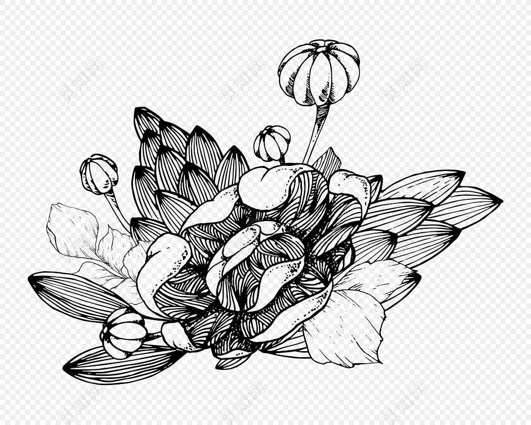 简约黑白镂空韩风插图花卉花朵免费下载_png素材_觅